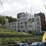 Vignoble montmartrois