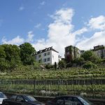 Vignoble montmartrois